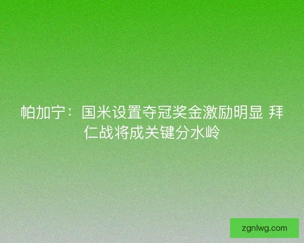 帕加宁：国米设置夺冠奖金激励明显 拜仁战将成关键分水岭
